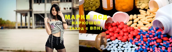 молекула духа Арсеньев