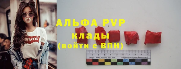 молекула духа Арсеньев