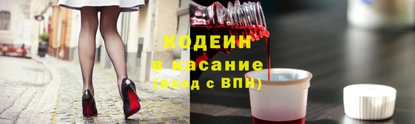 индика Аркадак