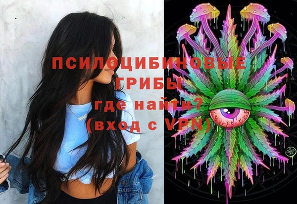 индика Аркадак