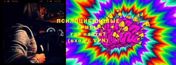 индика Аркадак