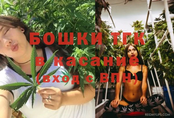 молекула духа Арсеньев